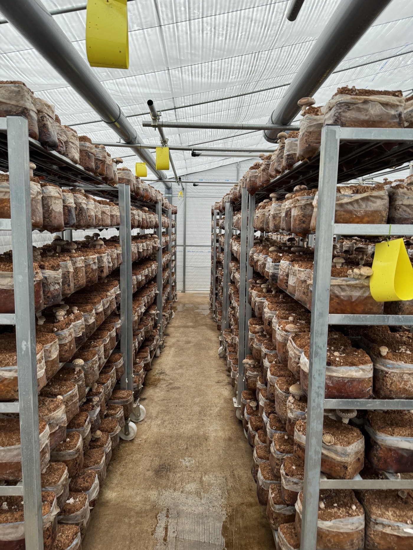 菌床ロットの登録と管理